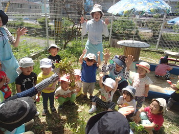 20170529 じゃがいも掘り (7).JPG